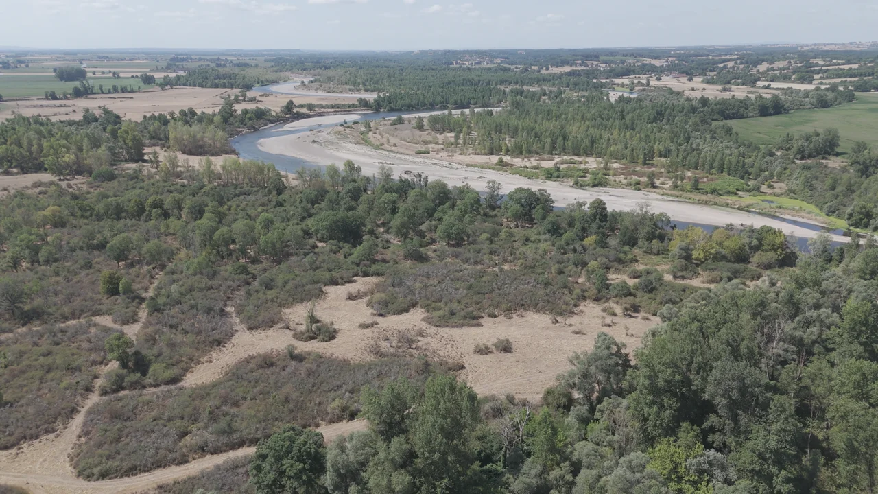 Réserve naturelle du Val d'Allier