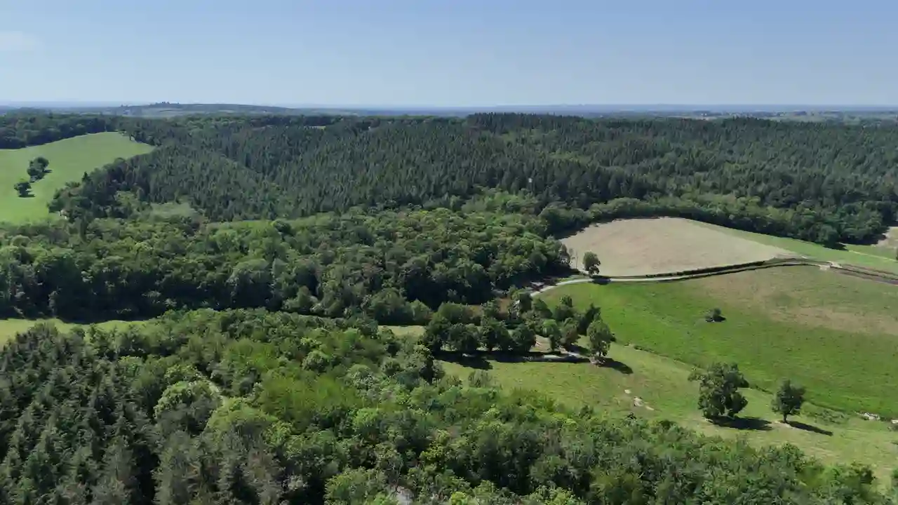 Fôret de Les côtes Matras