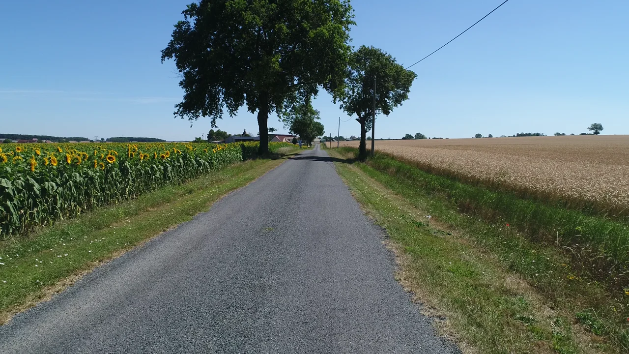 Route de campagne