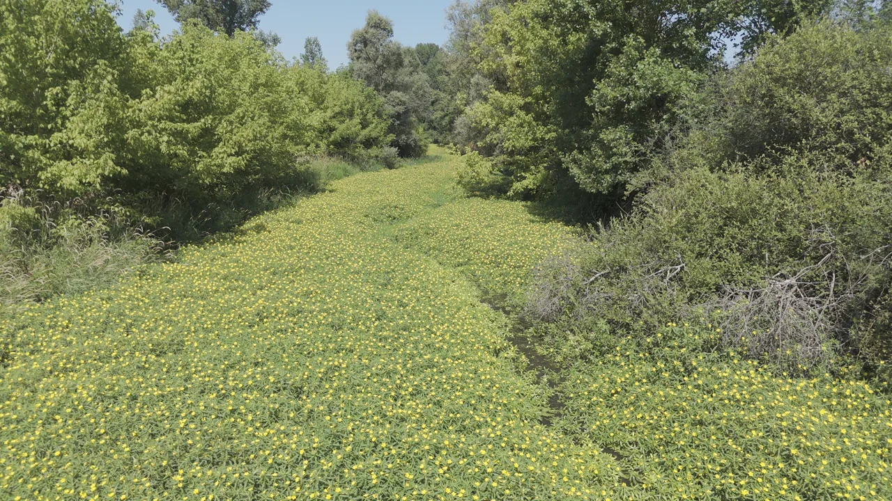 Réserve naturelle du Val d'Allier