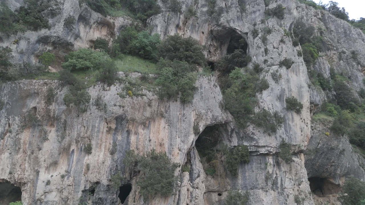 Falaise